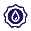 Icon (1)